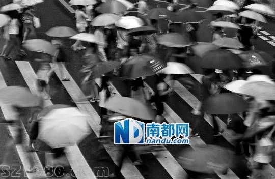<p> 22日傍晚,罗湖街头, 天兔 带来的风雨正逐渐增大,行色匆匆下班的人群。 南都记者 徐文阁 摄</p>