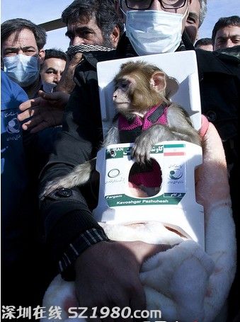 伊朗再送活猴入太空安全返回 称下一步将发射波斯猫