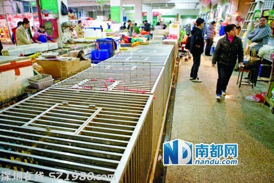 <a href=http://www.szxxg.com/shenzhen/ target=_blank class=infotextkey>深圳</a>H7N9患者住所附近市场 染病印佣曾来过