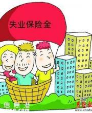 深圳研究降低失业保险缴费比例