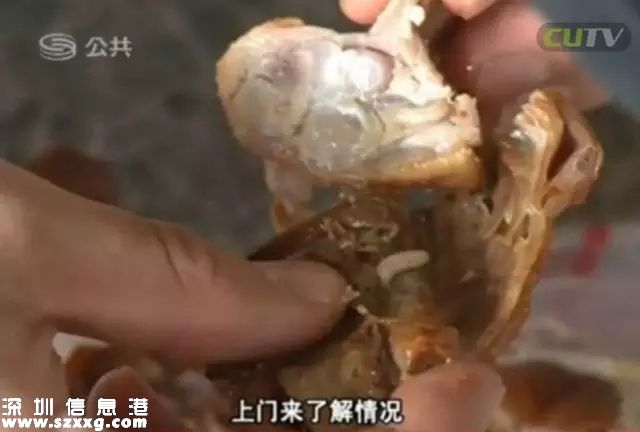 深圳(www.szxxg.com)吉之岛烤鸭藏蛆虫 顾客吃一半才发现