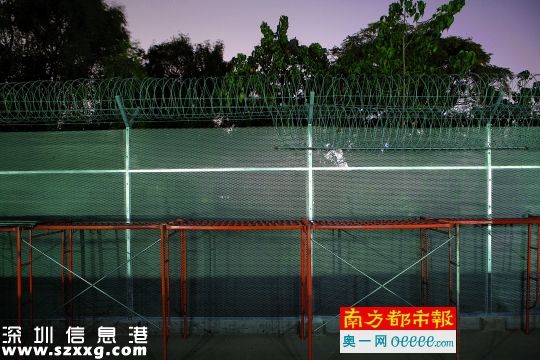 11月28日，深圳(www.szxxg.com)湾红树林公园靠近东边入口处，铁丝网附近已经搭起脚手架，下午2时许，工作人员开始拆除铁丝网。
南都记者 霍健斌 摄
