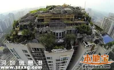 深圳违建产生原因到底是什么？