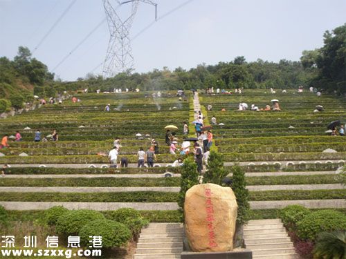 深圳清明高峰期将到来 吉田墓园不提供停车位