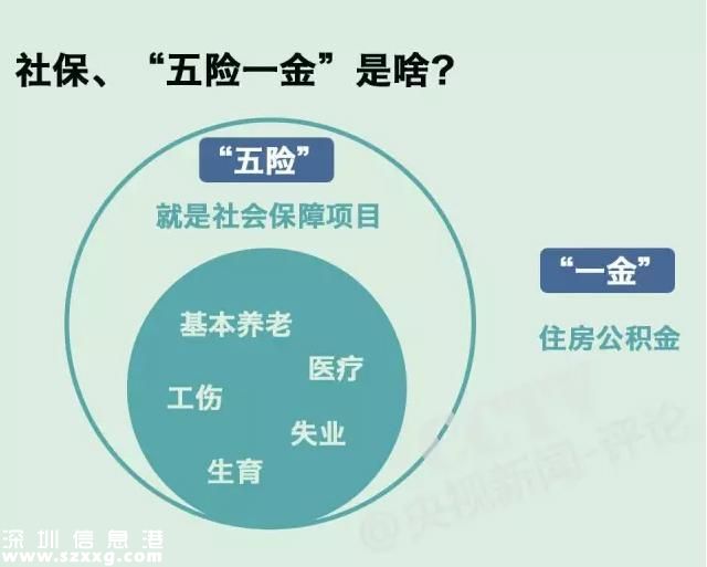 社保缴费要降了  社保待遇会不会跟着降？