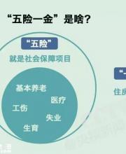 社保缴费要降了 社保待遇会不会跟着降？