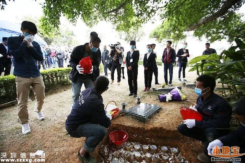 深圳172位逝者海葬或树葬 奖励办法正在商讨