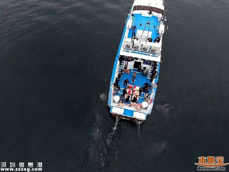 深圳172位逝者海葬或树葬 奖励办法正在商讨