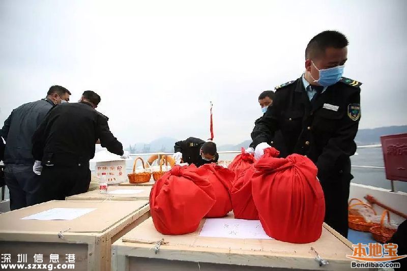 深圳172位逝者海葬或树葬 奖励办法正在商讨