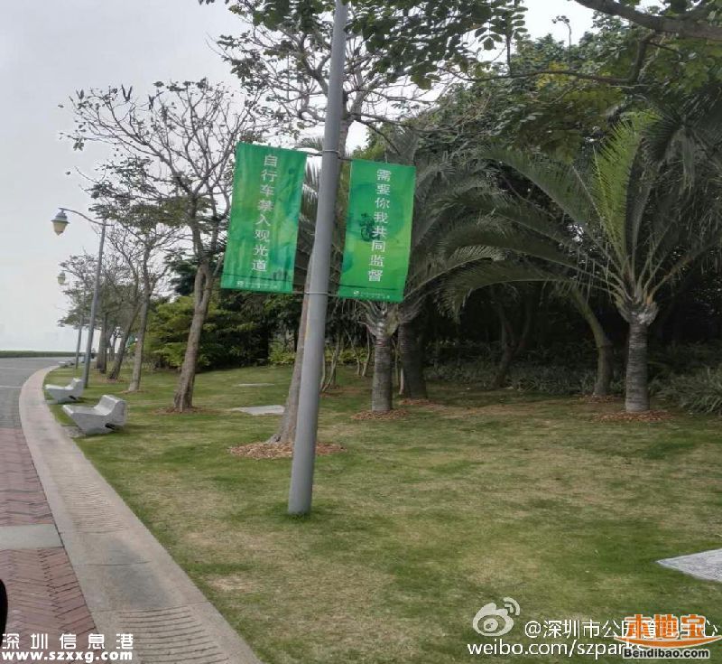 深圳湾公园人车混行怎么治？或增建7座桥