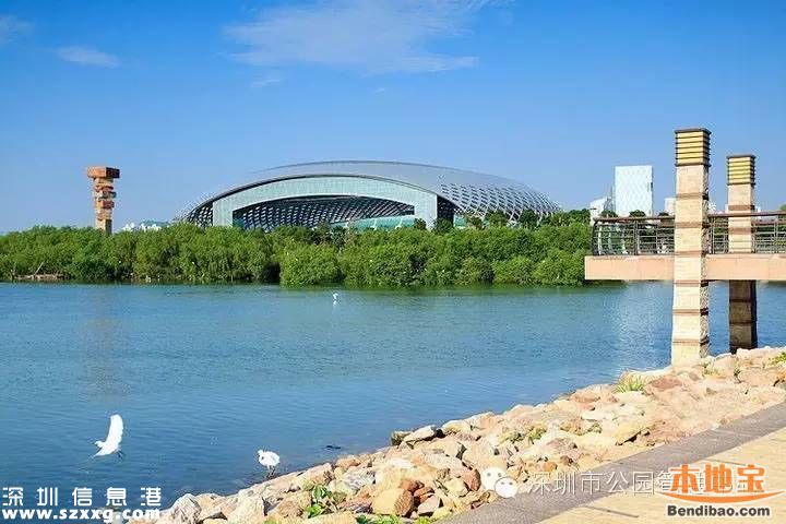 深圳湾公园人车混行怎么治？或增建7座桥