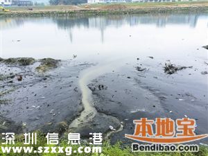 深圳8条河流水质污染加重 饮用水源水质100%达标