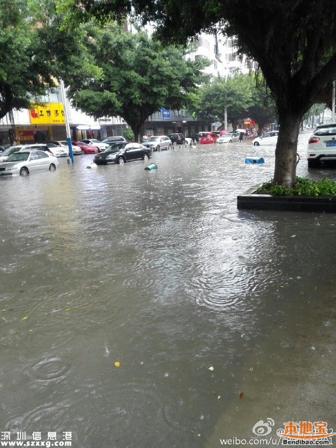 深圳降雨还将持续3小时 多路段被淹(图)