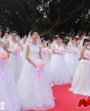 2016南山集体婚礼开始报名 收费标准仅999元