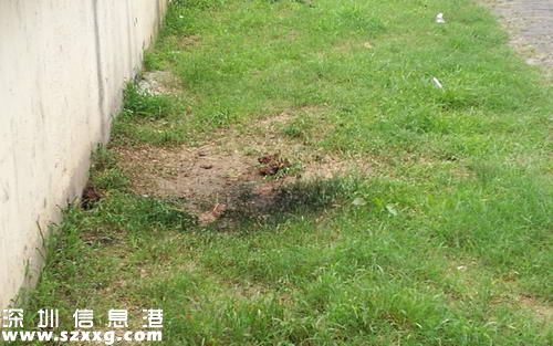 高压线下钓鱼被电：15岁男孩伤情严重 正在转院就诊