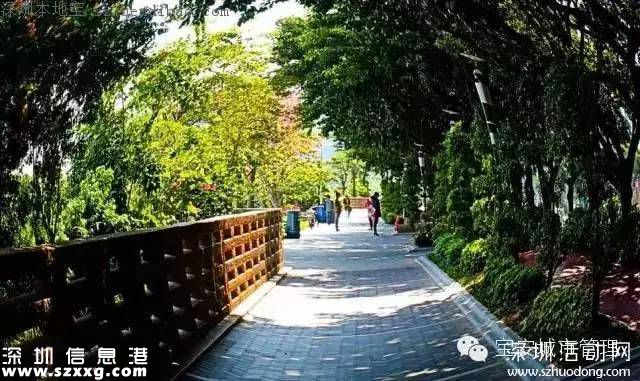 深圳立新湖三期或元旦开放 不去杭州就能游玩西湖