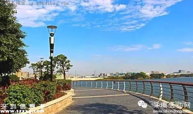 深圳立新湖三期或元旦开放 不去杭州就能游玩西湖