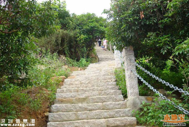 深圳仙湖植物园、塘朗山郊野公园 2公园禁止车辆通行