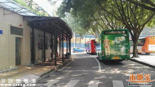 深圳试点推出网约巴士 25元直达广州方便安全