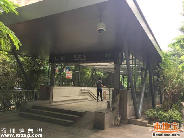 深圳试点推出网约巴士 25元直达广州方便安全