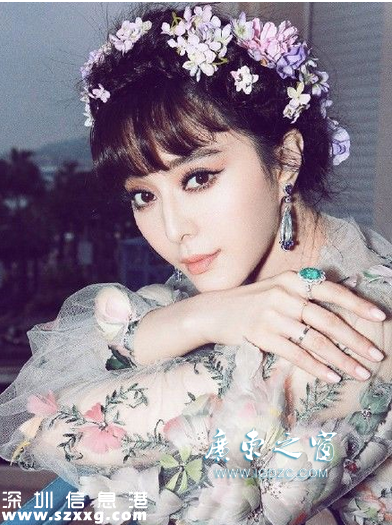 王思聪 黄段子 范冰冰 李晨 对骂 微博