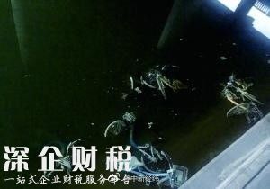 北京一河段放水浮出30余辆共享单车 车身长满绿毛