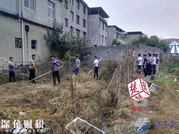 马戏团幼虎出逃 有惊无险