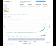 比特币突破1.4万美元 市值突破2400亿美元