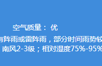 8月17日深圳天气 全市发布雷电预警
